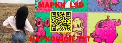PSILOCYBIN Кинель